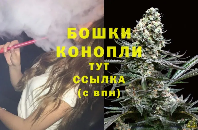 Бошки Шишки OG Kush  как найти закладки  Солигалич 